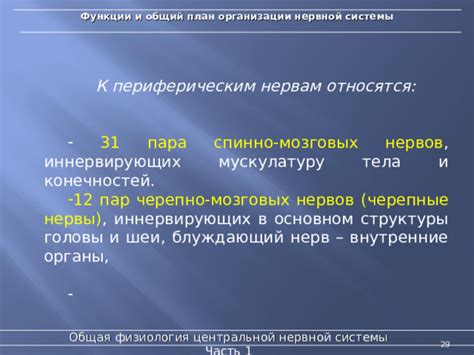 Взаимосвязь трения шеи и центральной нервной системы