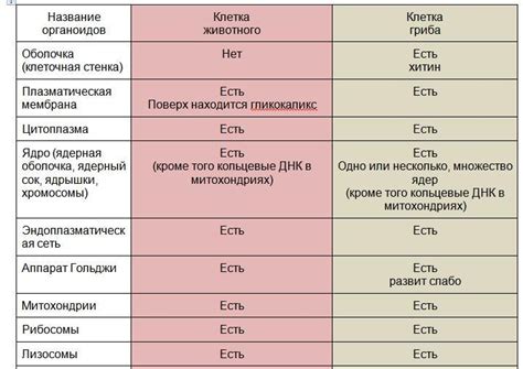 Взрослость: ключевые черты и различия с детством