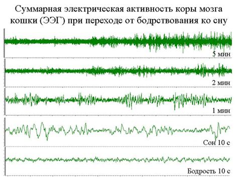 Видение гематологического образа во время сна как потенциальный индикатор наличия патологических состояний во время беременности