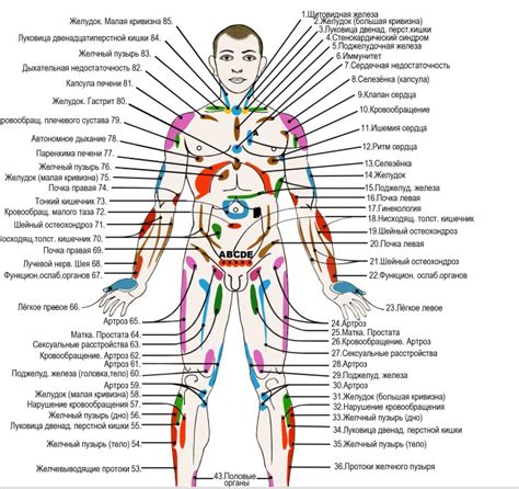 Видение легких: разгадка сновидений в контексте внутренних органов мужчины