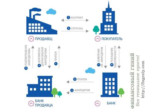 Виды аккредитивов: какие существуют и чем они отличаются