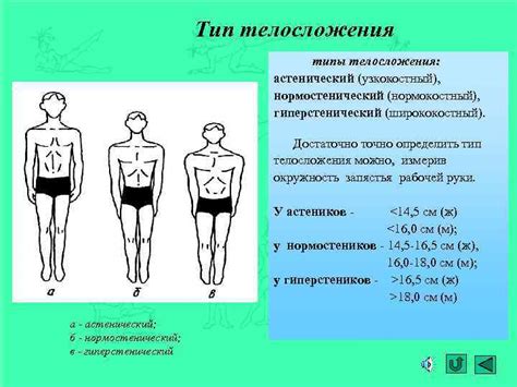 Виды астенического телосложения