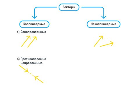 Виды векторов