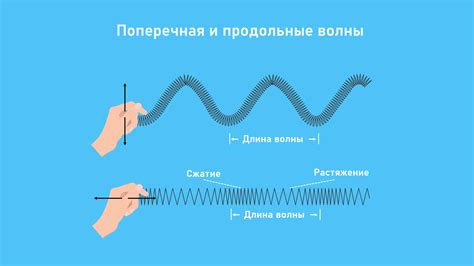 Виды волн