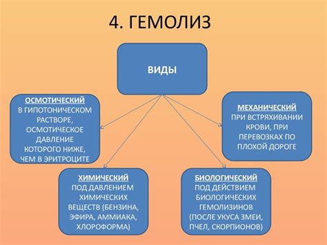 Виды гемолитических свойств и их значения