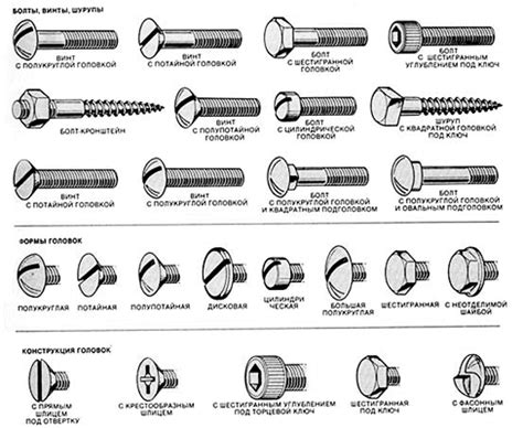 Виды головок самонарезающих винтов