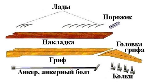 Виды грифов и их особенности