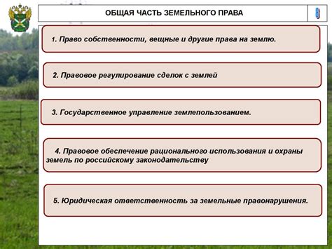 Виды используемых земельных участков: коммерческое назначение