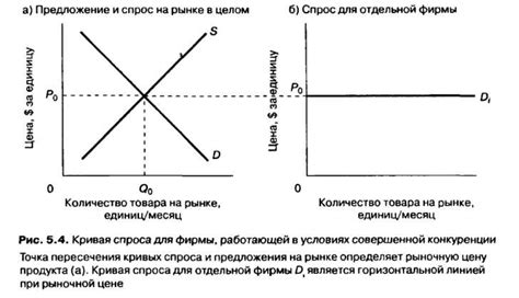 Виды и модели ластиласи на рынке