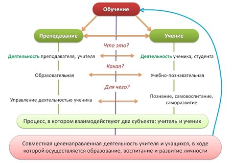 Виды и направления обучения