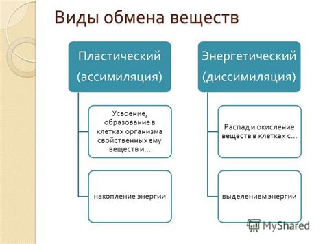 Виды обмена бартером