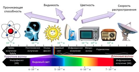 Виды оптического излучения и их особенности