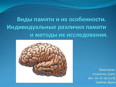 Виды памяти и их особенности