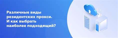 Виды прокси с ротацией: как выбрать подходящий?