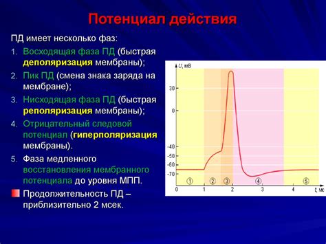 Виды распространения действия