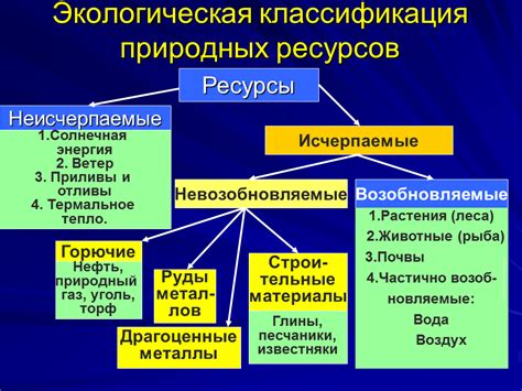 Виды ресурсов и их особенности