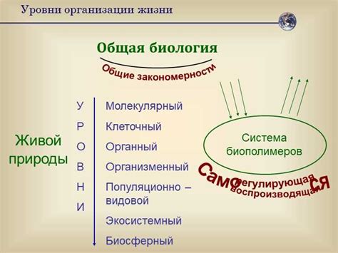 Вид в биологии: определение и значение