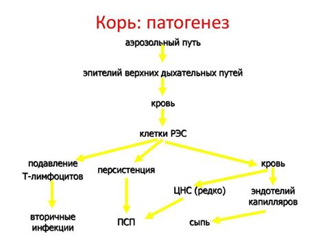 Вирусная этиология: основные принципы и примеры