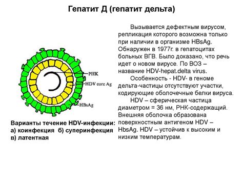 Вирусные гепатиты