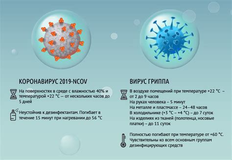 Вирус гриппа А и В: сходства и различия