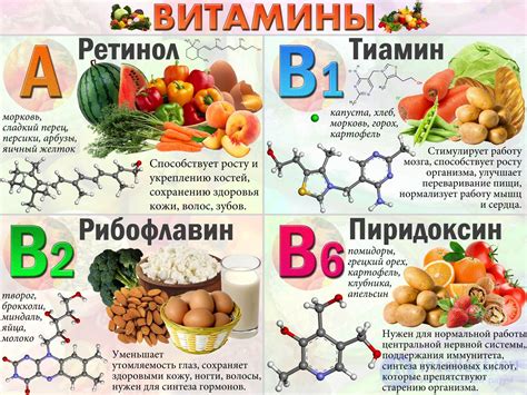 Витамины группы В: важность для организма человека