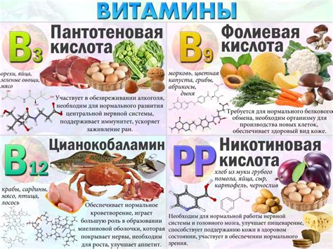 Витамины-прекурсоры или действительно витамины?