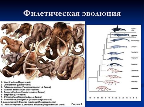 Вклад разнообразия животных в биологическую борьбу