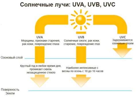 Влажные лучи: понятие, значение, воздействие на окружающую среду