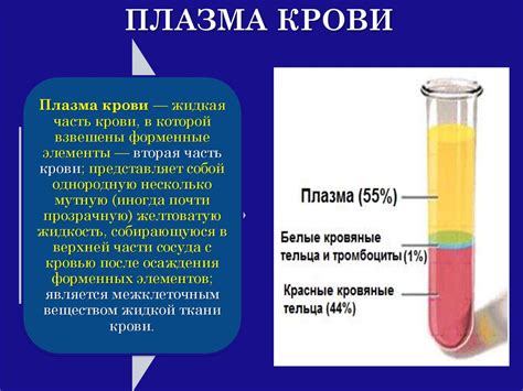 Вливание плазмы: определение и основные этапы