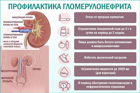 Влияет ли пол на развитие хронического пиелонефрита?