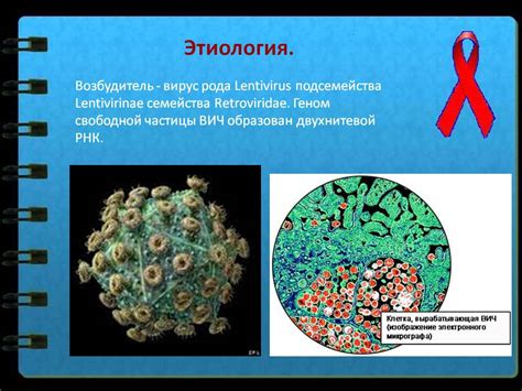 Влияние ВИЧ 3 стадии на организм человека