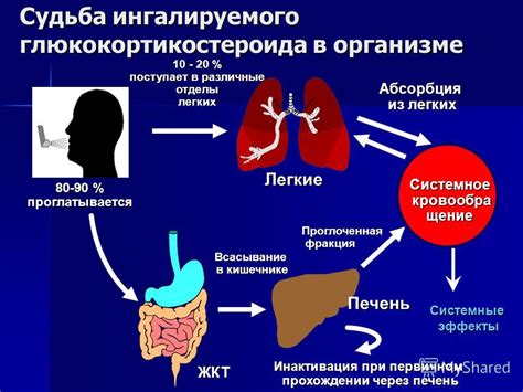 Влияние ГКС на органы и системы