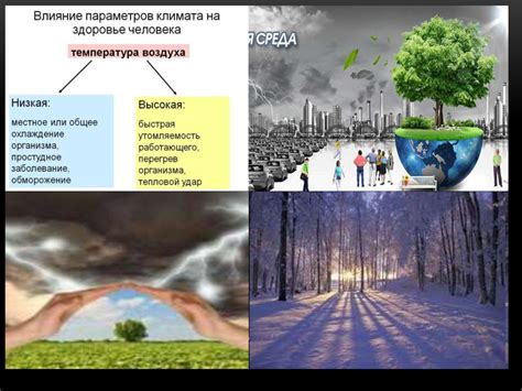 Влияние абсолютной неэластичности на климат