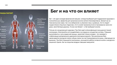 Влияние бега рысцой на организм