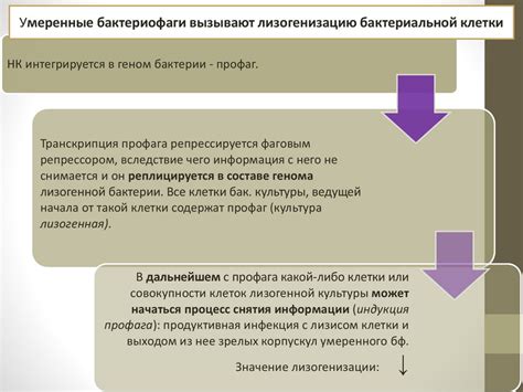 Влияние биологических факторов на формирование характера