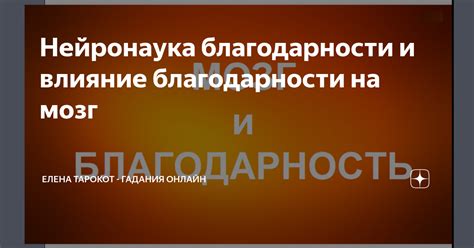 Влияние благодарности на работников