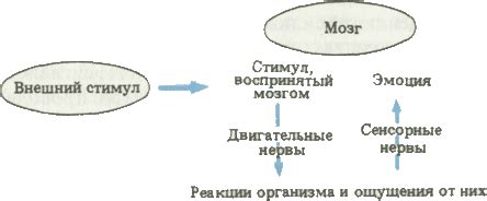 Влияние визуальной изящности шаров на эмоциональный опыт человека