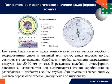 Влияние витального воздуха на организм