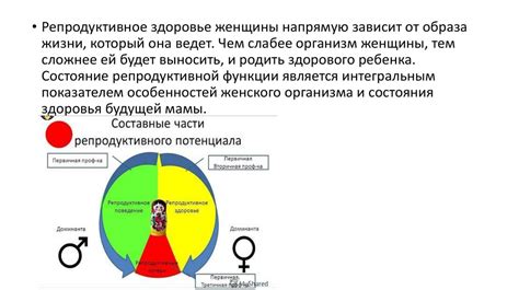 Влияние витамина Аевит на репродуктивную систему женщин