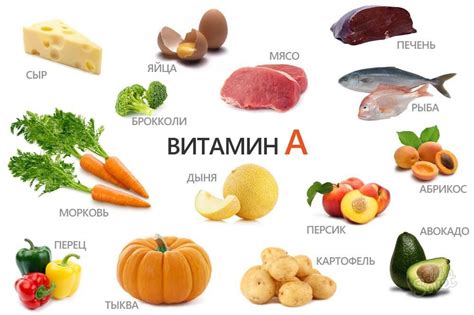 Влияние витамина B12 на нервную систему и образование новых клеток