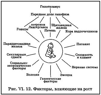 Влияние внешних условий на истолкование сновидения о роддоме