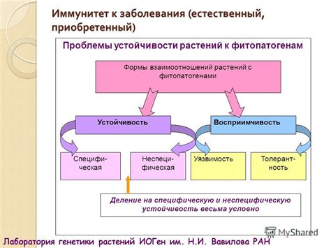 Влияние внешних факторов на интерпретацию снов о длинной гриве