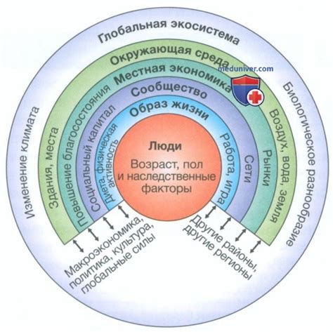 Влияние внутренних факторов на наше состояние