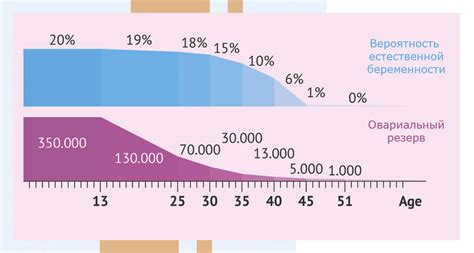 Влияние возраста на фертильный период и шансы на зачатие