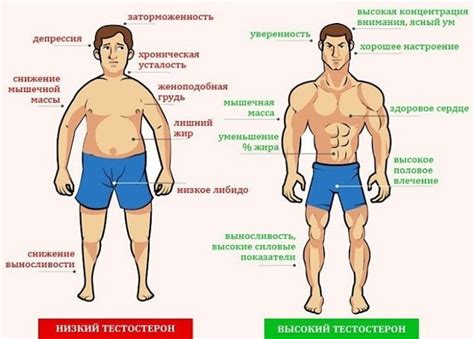 Влияние возрастных изменений на уровень тестостерона