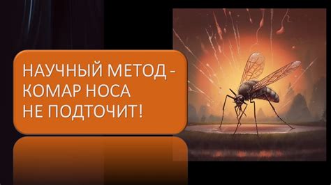 Влияние выражения "Комар носа не подточит" на современную культуру