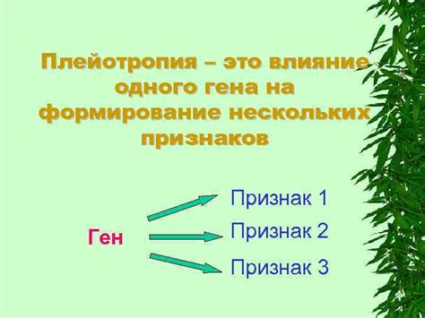 Влияние генов на формирование физических характеристик