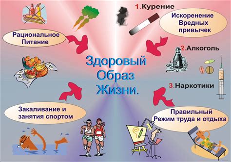 Влияние гиперстенической конституции на здоровье и образ жизни