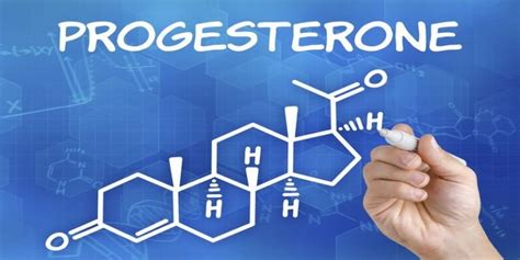 Влияние гормона прогестерона на организм