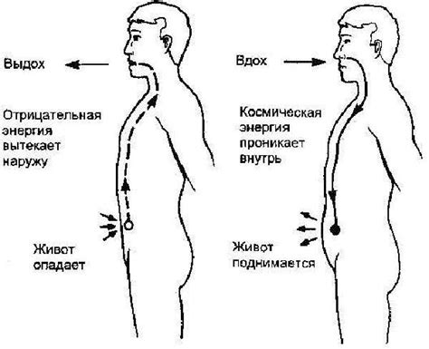 Влияние движения внутри живота на организм